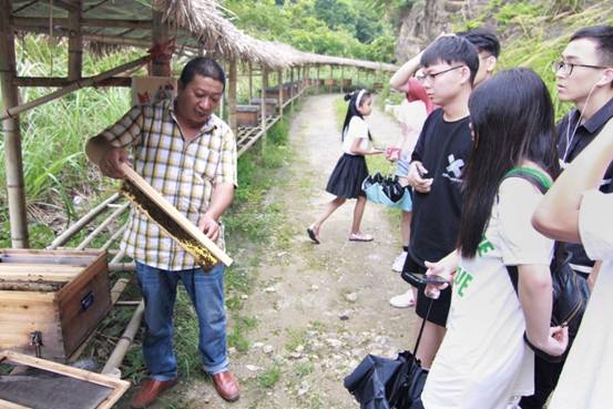 ”善行景宁乡，共圆畲汉梦“17live
景宁梦之队-实地调研当地养蜂业